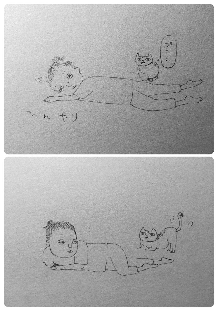 どうしても尻を叩いて欲しい猫 