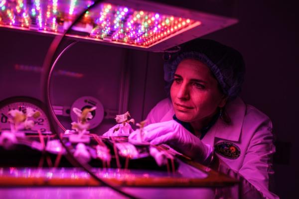 WomenNASA's tweet image. Does being a plant mom make you more zen? 🌱

@NASAKennedy’s Gioia Massa is investigating whether space gardening may help astronauts cope with feelings of isolation &amp;amp; confinement by surveying crew who tend to plants on the @Space_Station: go.nasa.gov/3vedPxy