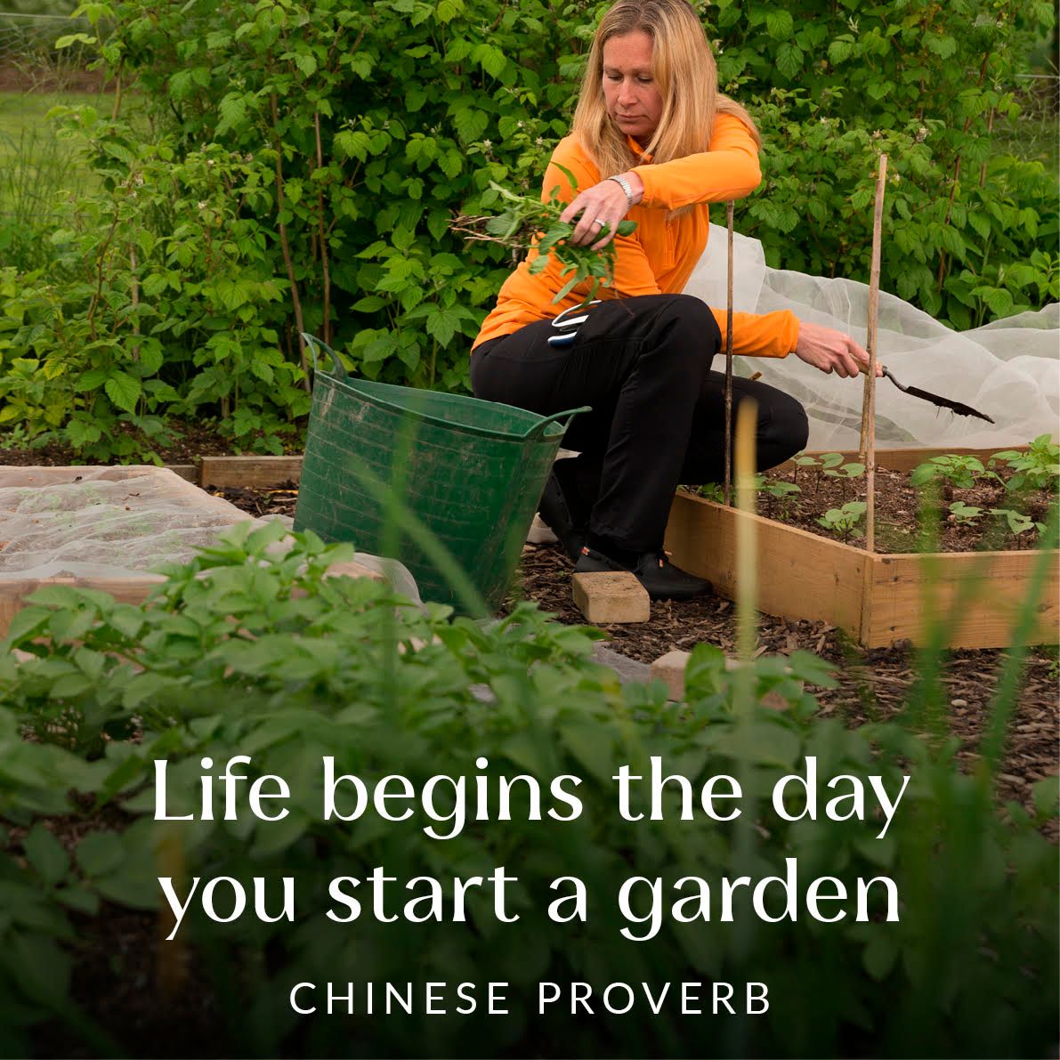 There’s a Chinese proverb that claims ‘Life begins the day you start a garden’ 

We couldn’t agree more….how about you?

#genusgardenwear #gardeningexpert #gardening #gardeningquote #lovegardening #plantlover #flowerlover #petalpower #gardenclothes #gardentrousers