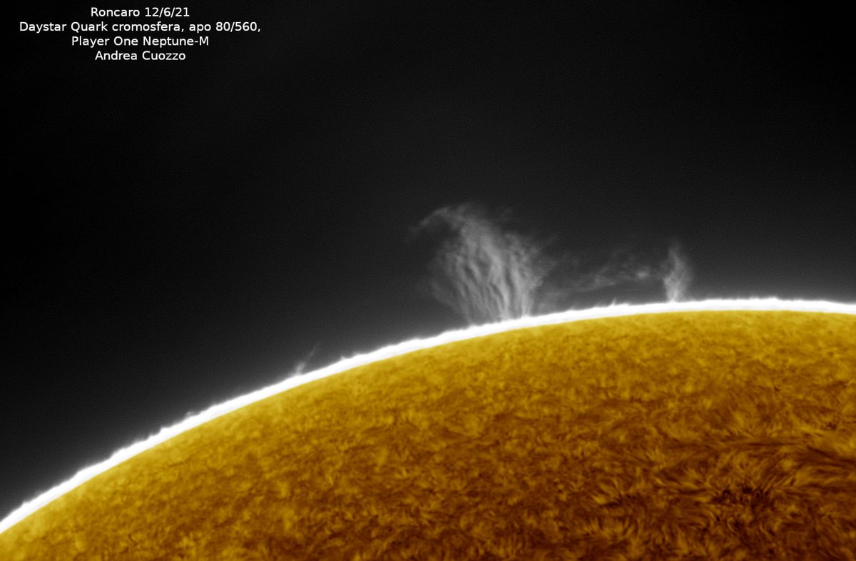 spaceis_cool's tweet photo. Il #sole oggi?
Uno spettacolo! 😍 Come sempre 😊
🔭📷 Ripresa in Halfa con Daystar Quark cromosfera, camera @playeronecamera Neptune-M e apocromatico 80/560.
By Andrea Cuozzo, co-founder #spaceiscool 😊 @aapv2016 https://t.co/Ej2FIURLY8