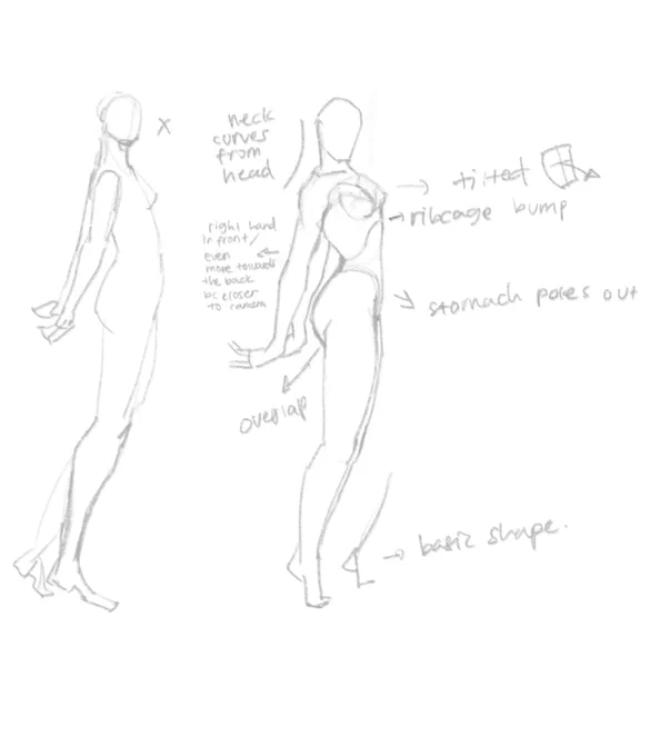 Day 16 - Study 
Scar unfiltered 😂 the left one is my drawing without looking at the reference and the right one is the correction. Learning by trial and error~ 