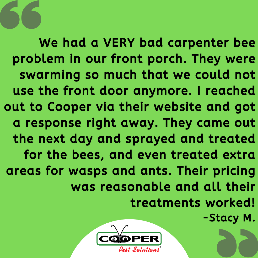 Cooper Pest Solutions tweet media