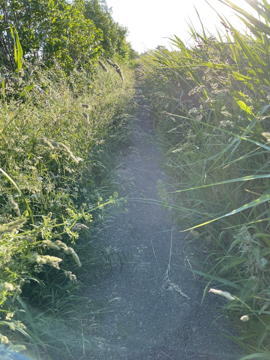 Patrick Rijnbeek tweet media