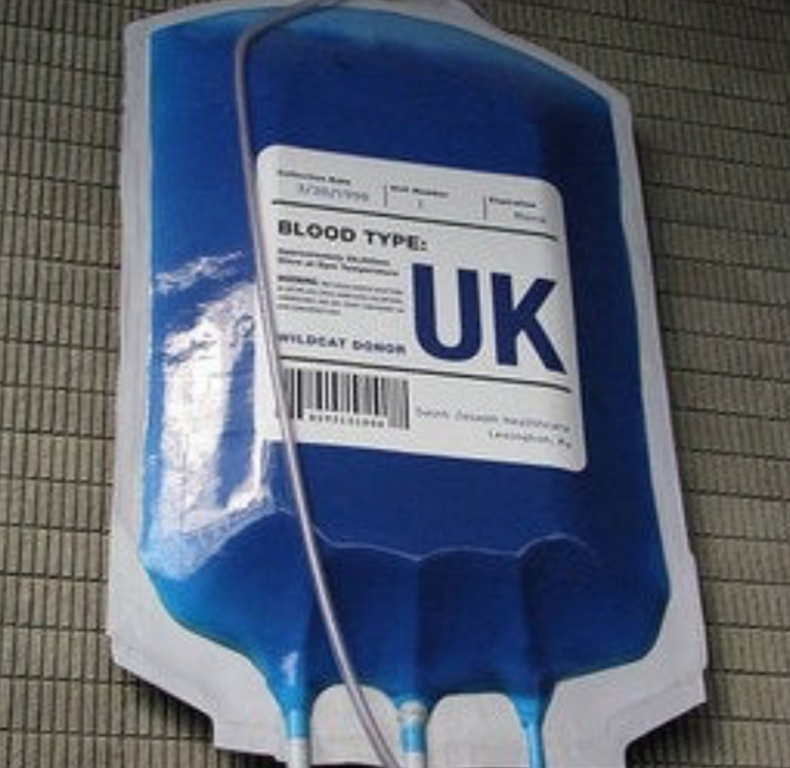 _will_barker's tweet photo. YES, I bleed BLUE!! #BBN https://t.co/37271Uvx56