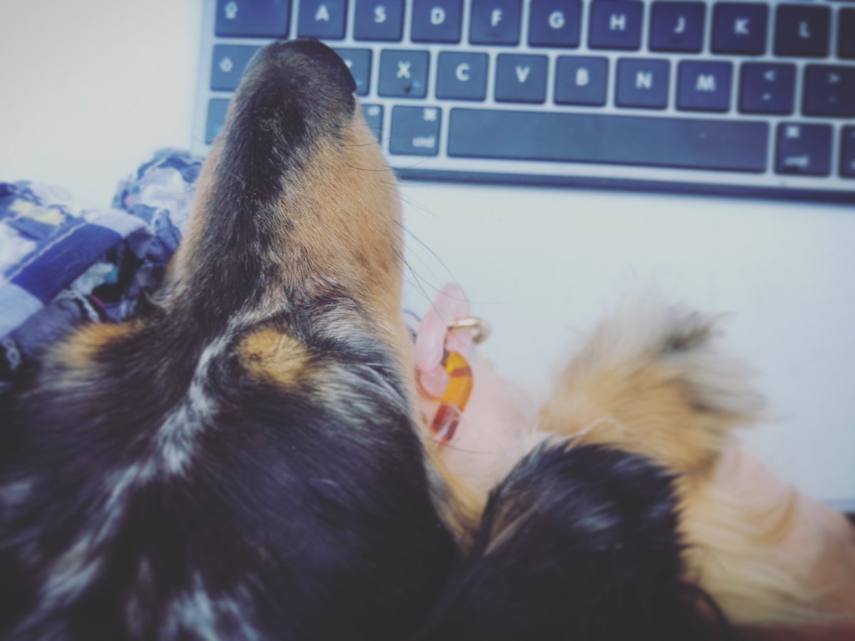 gemmyred's tweet photo. Saturday nightβs all right for writingβ¦ #justmeandb #allthewords #allthewine #alltheessentials https://t.co/VTh3afXv3O