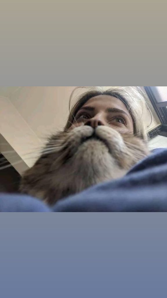 Her kim ise harika yakalamış ..