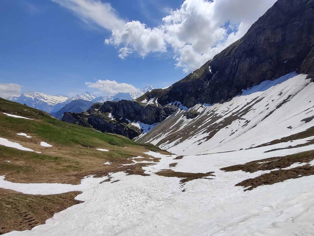 paco_ITA's tweet photo. Went for a hike on the #swissalps with my wife and made more than 25km...

Saying we are dead is an euphemism 😵 but it was totally worth it! Tonight I will sleep like a stone 💤😀

#nature #nocodetoday #unplug #hike #alps https://t.co/sFnuigCcpK