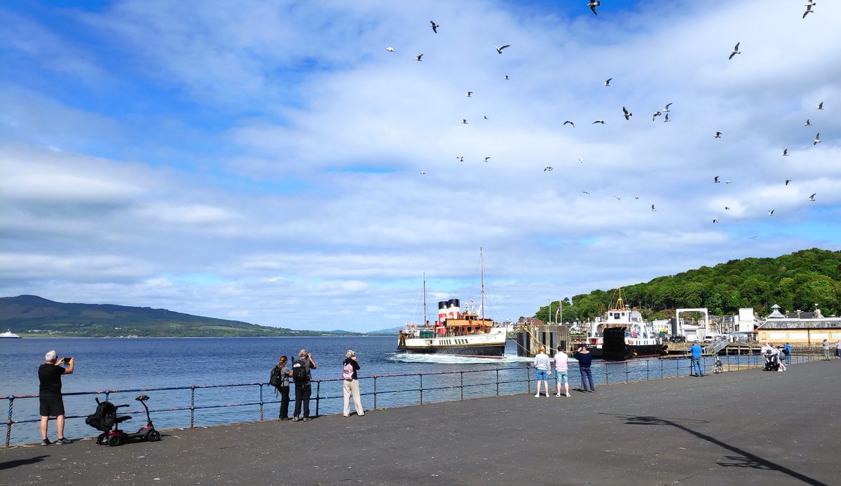 David Swan tweet media