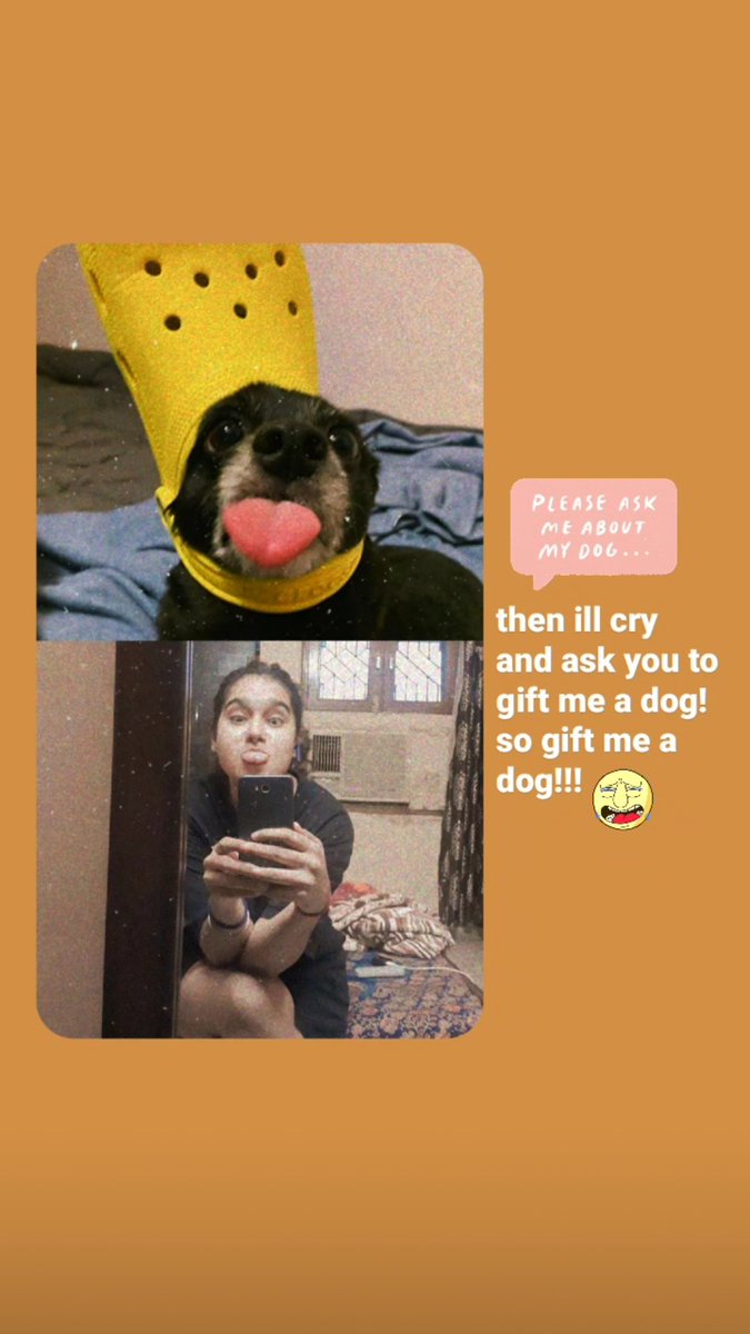 weeeettt's tweet photo. i keep asking friends and friends of friends to gift me a dog because in indian houselholds its a sin if you return a gift, soooooooo then my mom wont be able to give any emotional reason not to pet him/her. #devillaugh https://t.co/fidgesMkZx