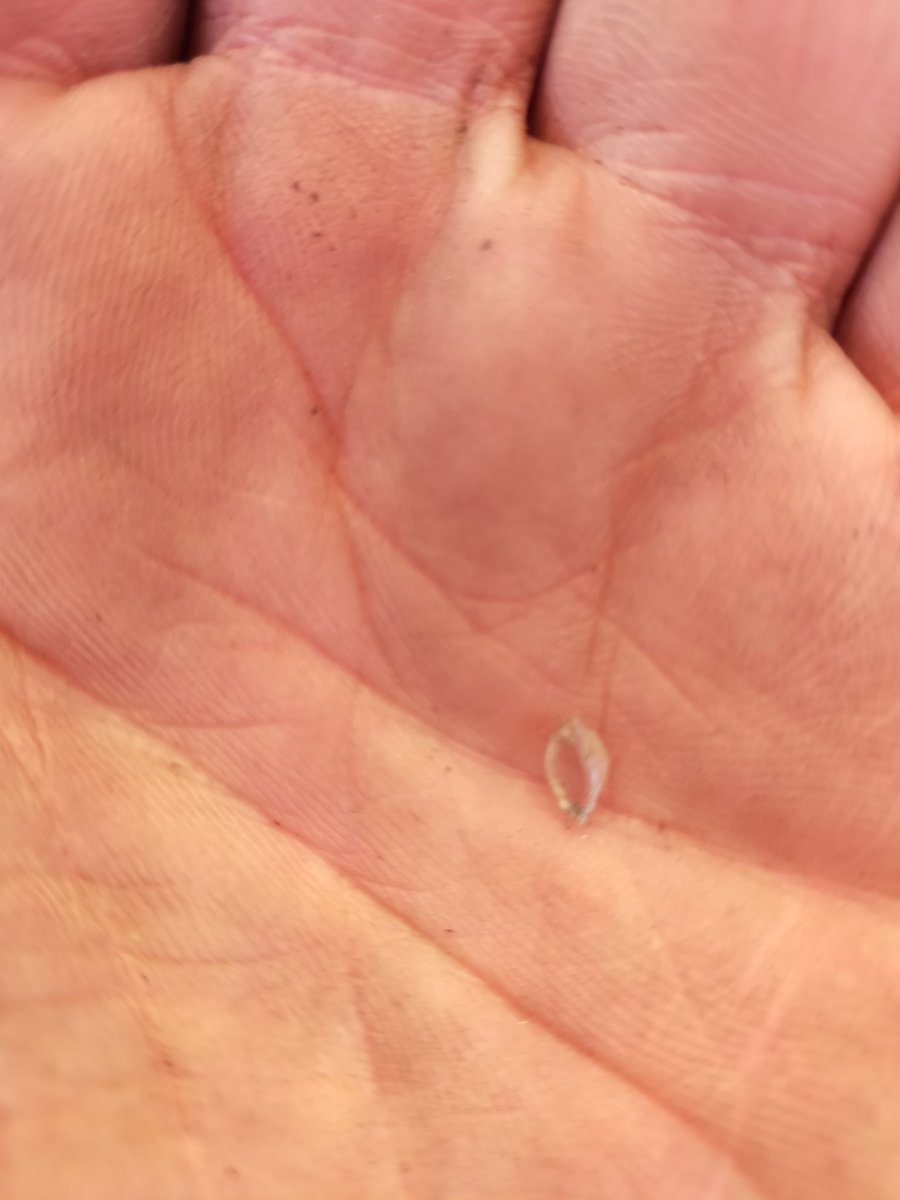 Lets_getcycling's tweet photo. People wonder what they can do to reduce punctures?
I say @SchwalbeUK #MarathonPlus
Lady had her bike fixed today @s4plb @PlattFieldBikes @WeAreCyclingUK did even know how long the piece of glass had been firmly embedded in her tire for! https://t.co/Ci719wRwZQ