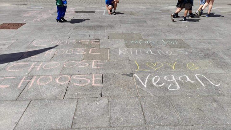 DevonAnimalSave's tweet image. Positive stall in the sunshine on the streets of Exeter today ☀️🌱 #devon #exeter #vegans #devonvegans #animalrights #veganactivism #alllivesmatter #veganfortheanimals #veganactivists #exetervegans #bethechangeyouwanttoseeintheworld #plantingseeds #veganoutreach