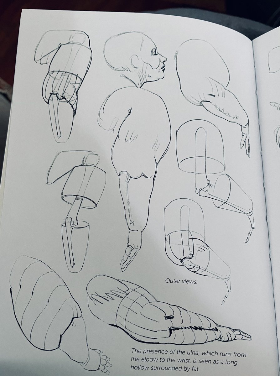 valkwise's tweet photo. i bought michel lauricella’s anatomy for artists book on fat + skin folds — this is a really useful point to remember when drawing bodies of any size, but particularly fat bodies! https://t.co/Xj4WKHviLB