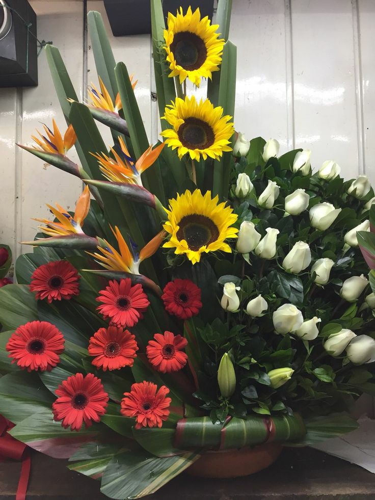 karen10AM's tweet photo. Mi mejor amiga me mando un arreglo floral y voy a ser muy feliz todo el dia, la semana, el mes y el año, ojalá y todos tengan a una @iraismusica en su vida 
Te amo mi Mandukiiiii https://t.co/8hoDFCSbYH