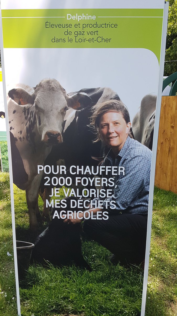 Delphine Descamps tweet media