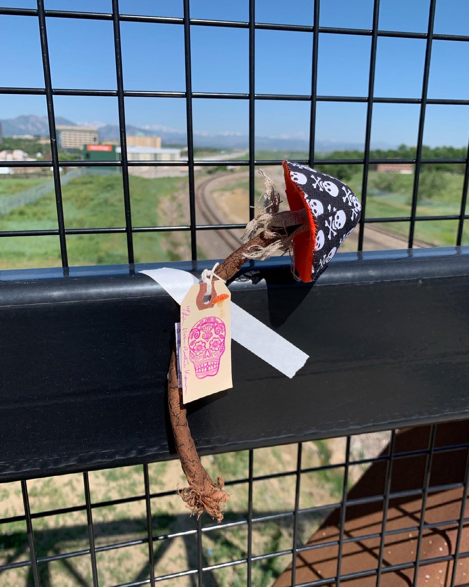 holycrow tweet media