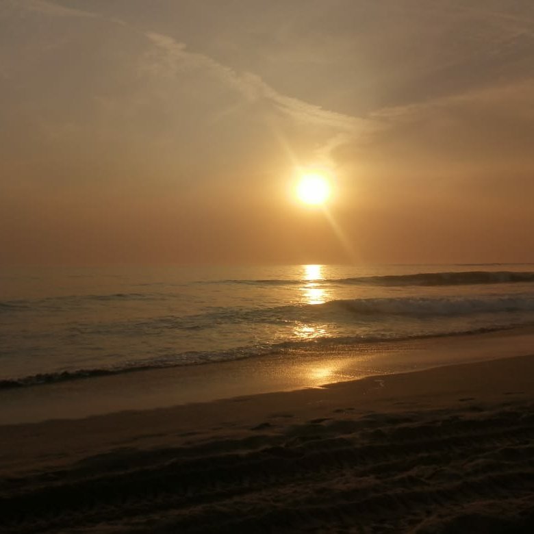 Dirección de Ecología y Medio Ambiente de Mazatlán tweet media