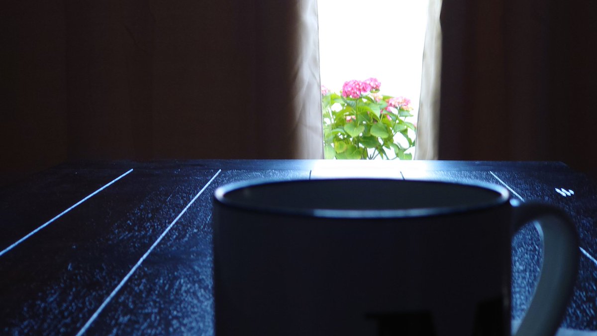 manojkhilnani's tweet image. Early morning with a cup of tea and the #SonyXperiaPro #Powered by @Snapdragon shot in #promode f2.4 SS1.3 and ISO50 @SonyXperiaUS