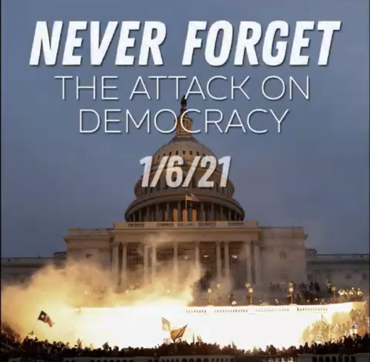 mccarthyscow's tweet image. #McCarthyMustGo