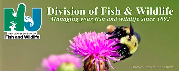 Metuchen Environmental Commission tweet media