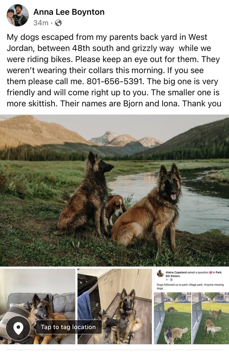 My dogs are lost in the West Jordan area, near 48 south and Grizzly way. Please keep your eyes peeled :( my phone number is 801-656-5391