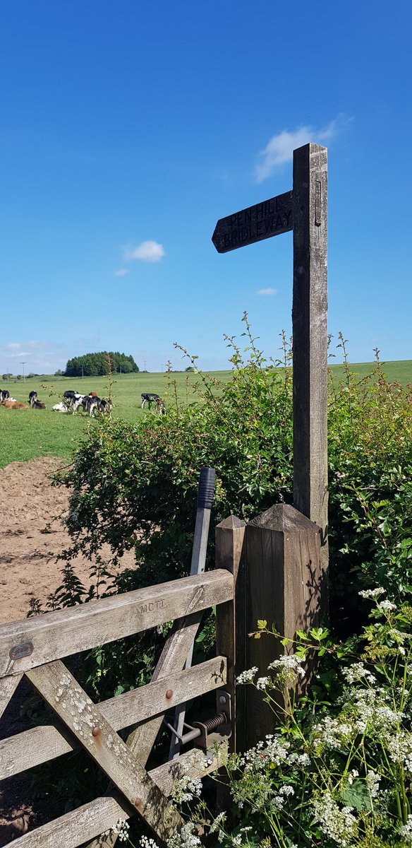 Backwell School D of E tweet media