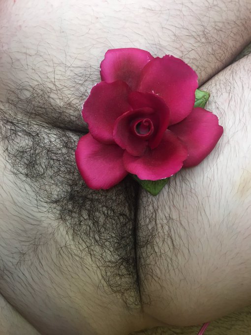 Finger my flower… 💦🌺 

https://t.co/9t8JQWko5j

#bush #hairy #HairyHole https://t.co/zQuGWaGd5F