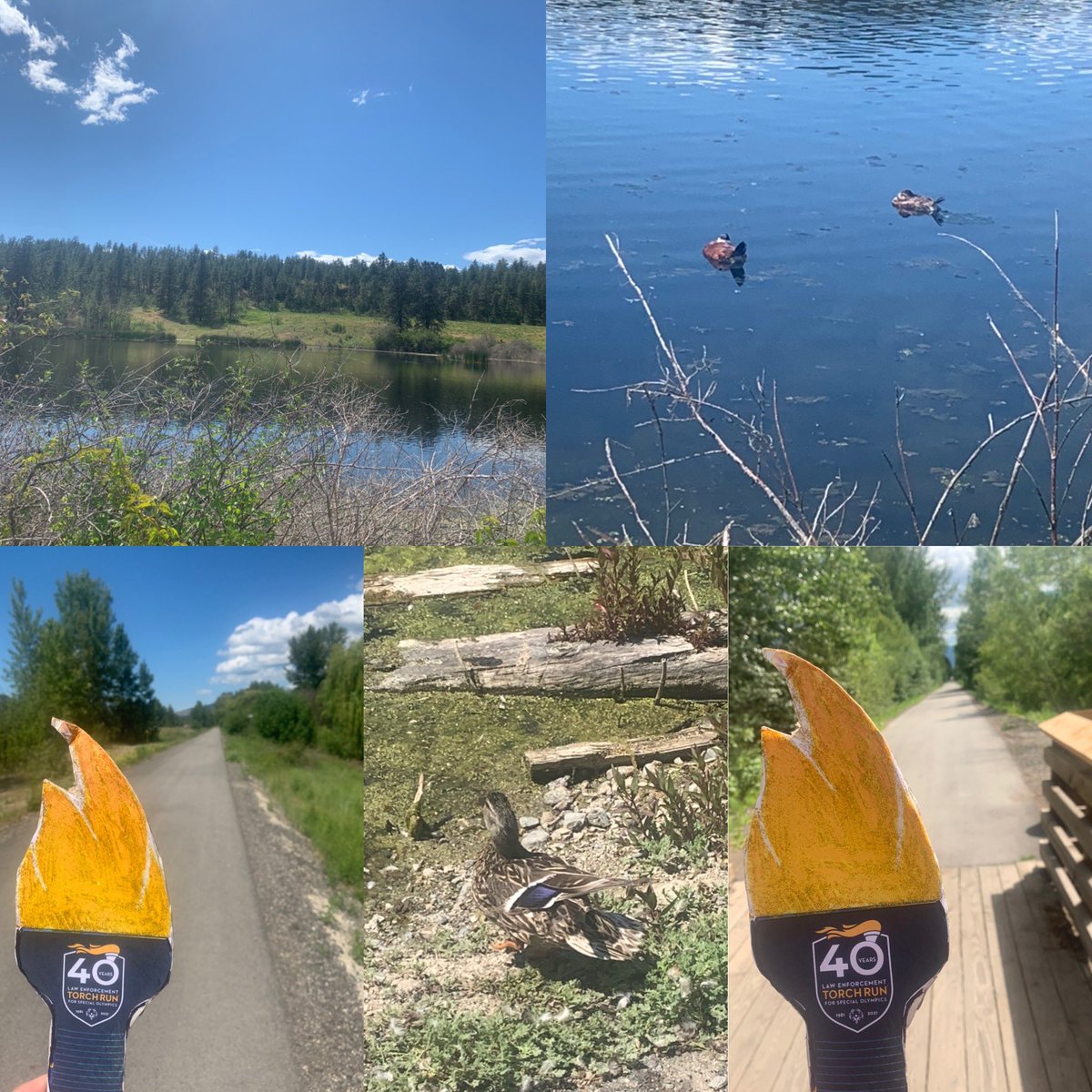 bluepink8488's tweet photo. Day #142 Afternoon Okanagan Rail Trail Walk In Kelowna Also Today Day#6 Virtual Torch Run From June 7 to 20 #VirtualBCLETR @BCLETR @sobcsociety #SOBCChallengeGames #Region2 https://t.co/tzblQUJDUv