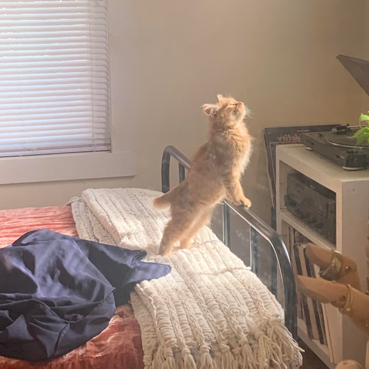 *exposes sparkly skin*