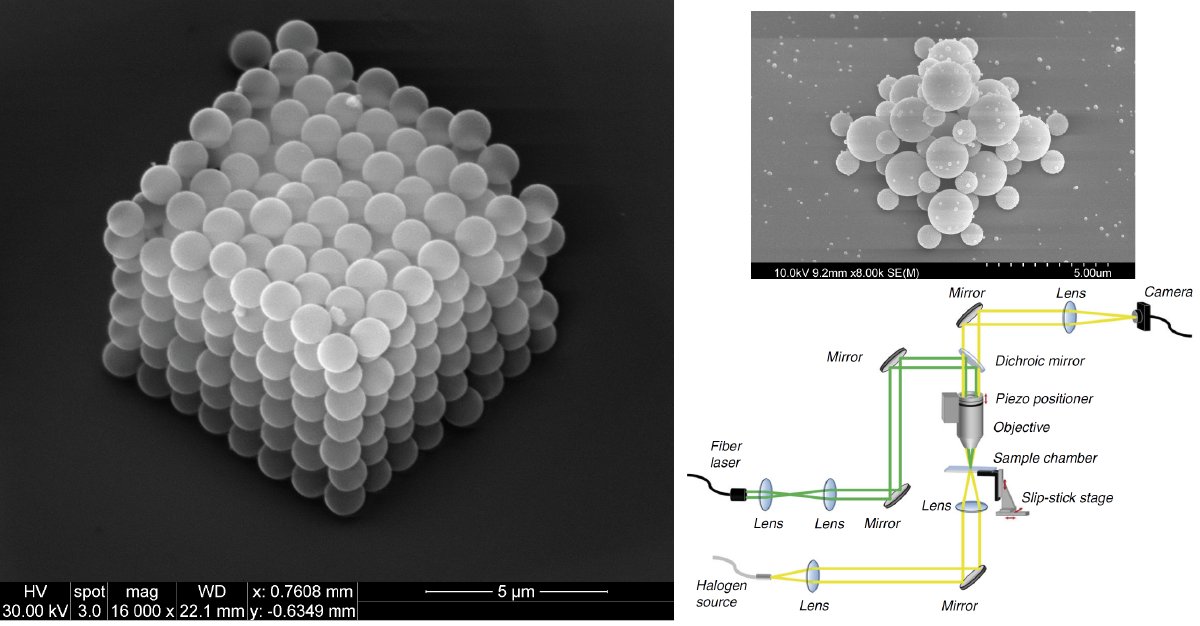 We just published the largest number of microscale building blocks assembled to-date using optical tweezers in <a href="/SpringerNature/">Springer Nature</a> Microsystems &amp; Nanoengineering. doi.org/10.1038/s41378…