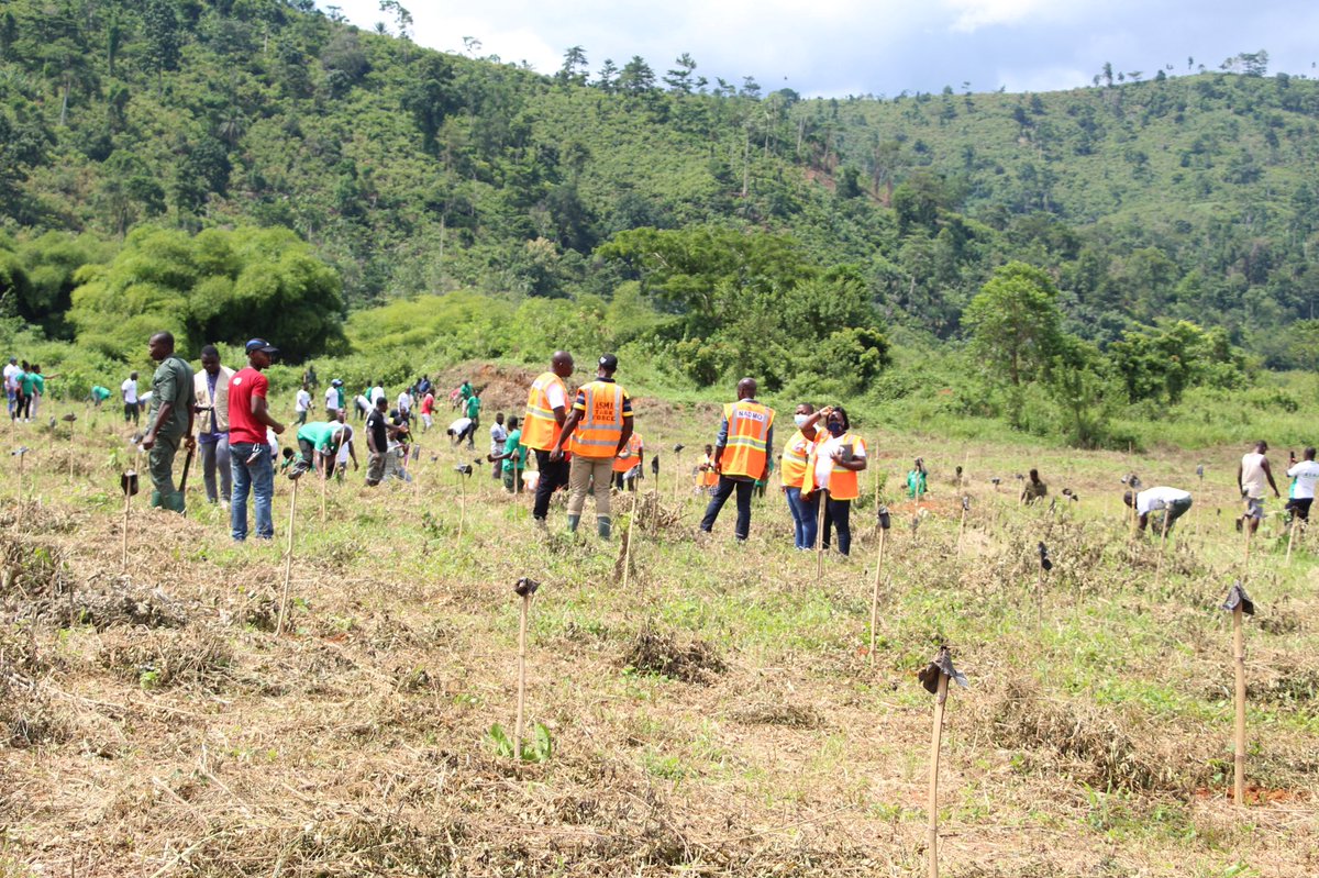 officialgiadec's tweet photo. During the Green Ghana Day on 11th June, our CEO, Michael Ansah and other team members joined the Kyebi Community to plant seedlings in the Atewa Forest. 
#GreenGhanaDay #GreenGhanaProject #LetsGoPlanting #giadec #aluminium https://t.co/xfFgyEypZf