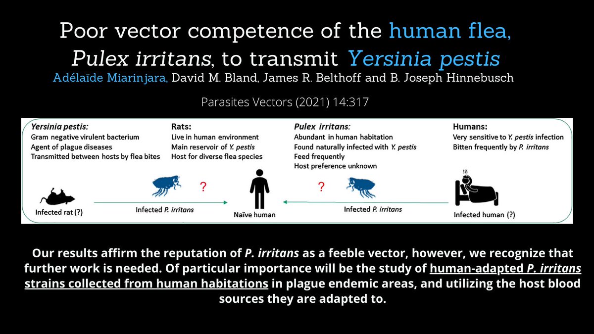 Read my latest #research on #plague disease and #flea vectors, published with <a href="/SpringerNature/">Springer Nature</a> in Parasites and Vector. Read here: rdcu.be/cmklc
