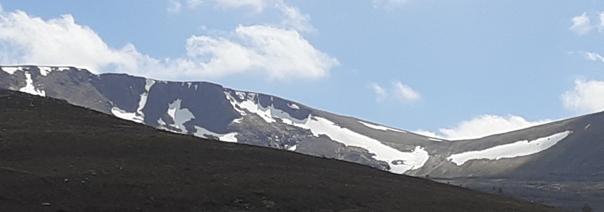 Good to see so much snow on Cairngorm, we've not seen this much in June for many years and it's so important for the alpine flora.