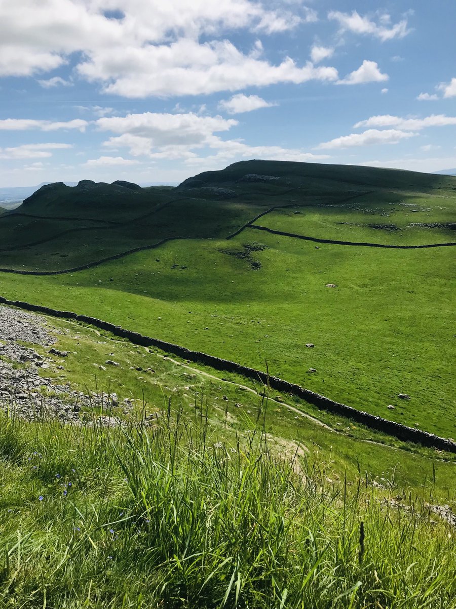 Plewsviews's tweet photo. Verdant June - Saturday Well-being Walking in the hills above Settle #Walk1000miles #Attermire #YorkshireDales @NSAT_Inclusion @N_StarAT https://t.co/vOJtEjsf2L