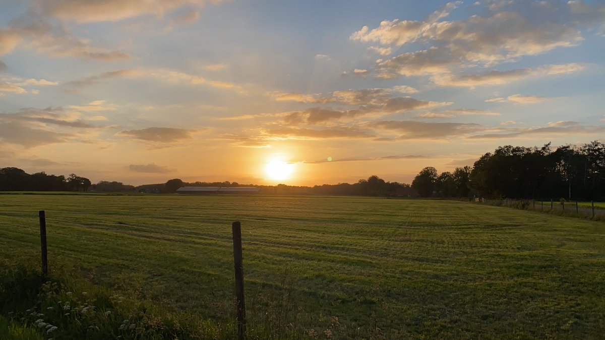 Raymond Loohuis (@raymond7010) on Twitter photo 