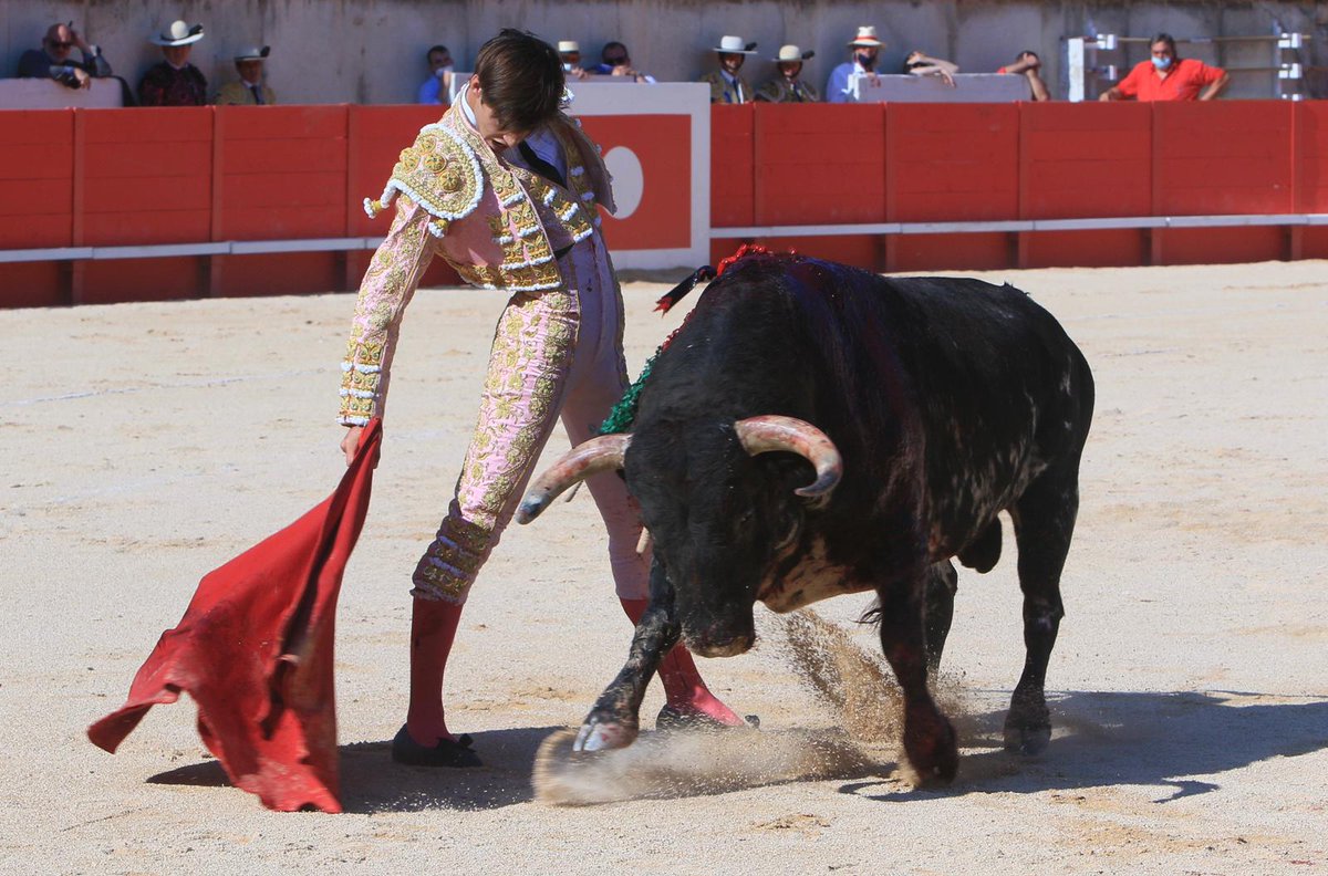 cultorocom's tweet photo. El toreo de @RafiRaucoule esta tarde en Nimes, tras el objetivo de @murielhaaz 
https://t.co/PBnVNXhRnf https://t.co/HAlFXVGYW9