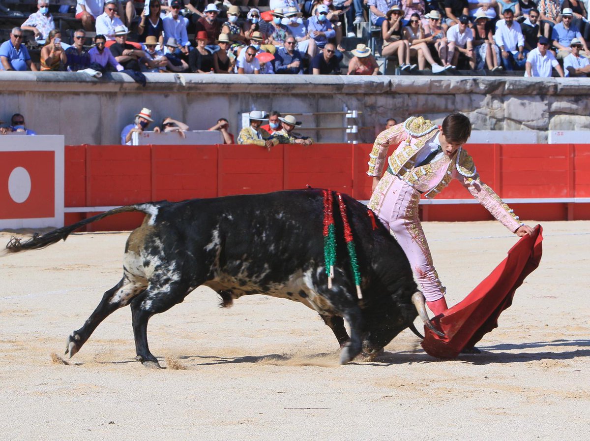 cultorocom's tweet photo. El toreo de @RafiRaucoule esta tarde en Nimes, tras el objetivo de @murielhaaz 
https://t.co/PBnVNXhRnf https://t.co/HAlFXVGYW9