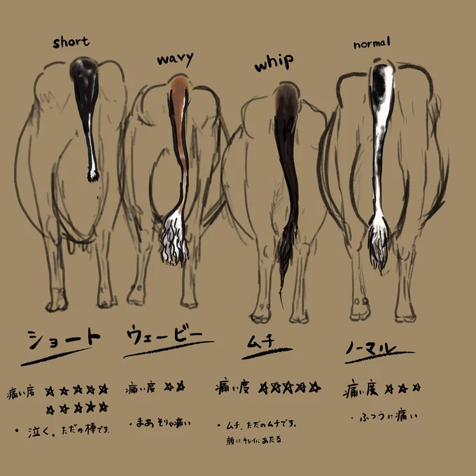 牛さんの尻尾のバリエーション(きっとまだある…)

それぞれ叩かれるとやっぱり痛い

子牛の尻尾っていつから大人みたいな尻尾になってるの…? 