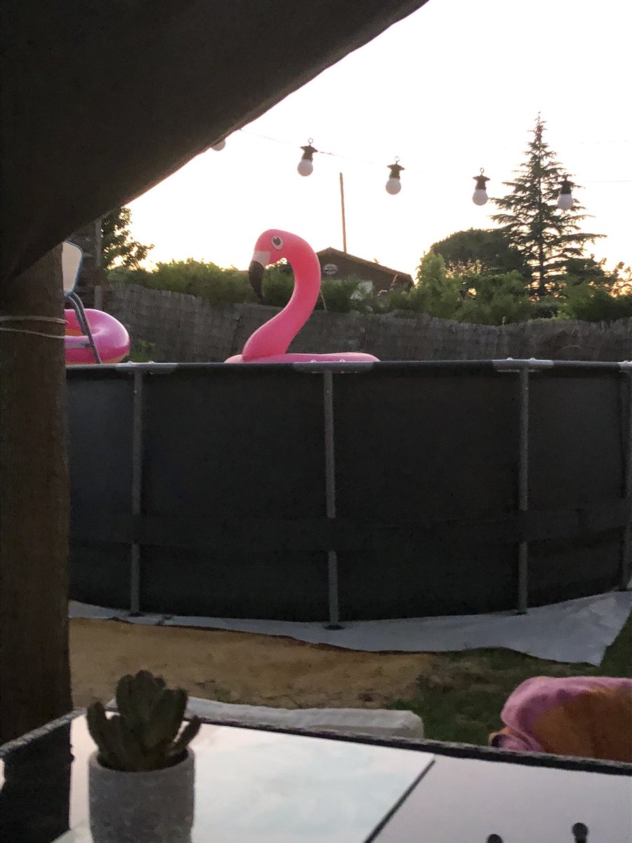 rochet10280271's tweet image. Wohooo Olga 🦩 is Back lol #swimmingbynite #justabitoffun