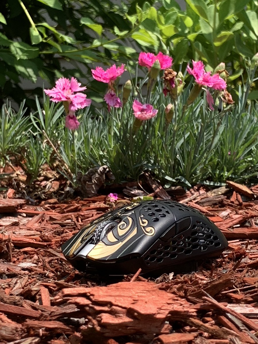 ZuttoVAL's tweet photo. @finalmouse LION ENERGY https://t.co/9JgBIZpGK7