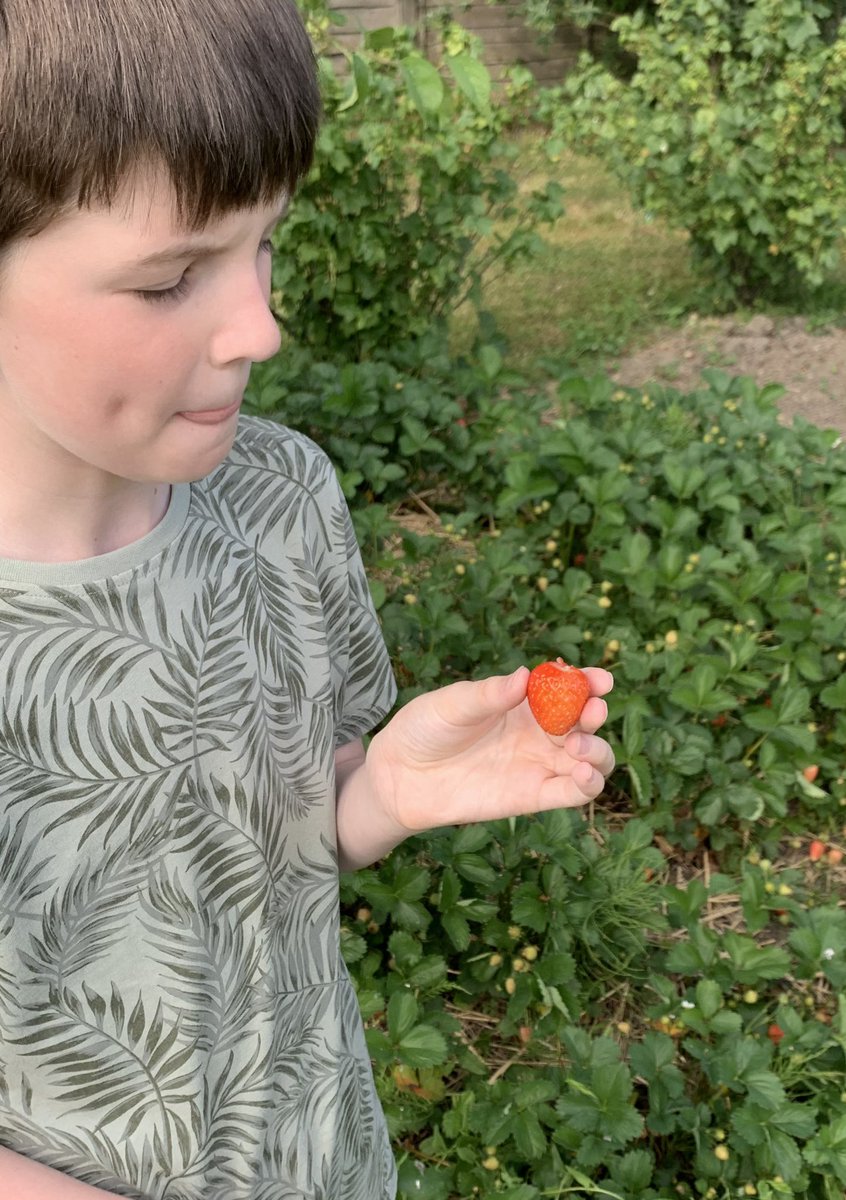 Jonathan Braggs tweet media