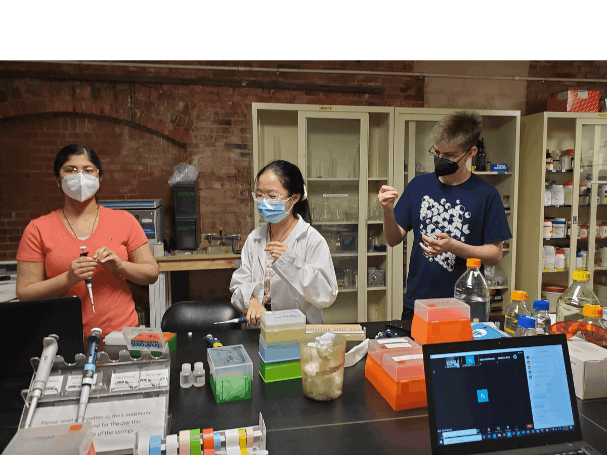 BUGSSlab's tweet image. First day of iGEM in the lab! We're engineering psychobiotics to help imrpove people's mental health. Restriction digest of the vector and gels-done! #igem #igem2021 #highschoolscience #diybio