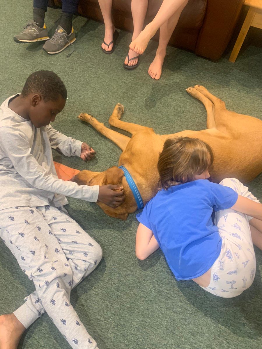 Evening cuddles #boardingdog #iloveboarding ⁦<a href="/NorthbournePark/">Northbourne Park</a>⁩