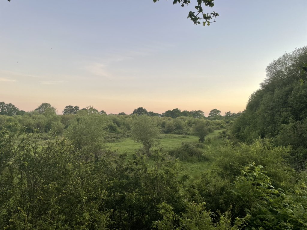 BioscienceOwen's tweet photo. First night camping at the beautiful @KneppSafaris for a ‘Conservation in the field’ field course! Spent the evening setting up moth light traps and checking for snakes… came across two grass snakes and a slow worm so far 🐍 https://t.co/ysN6bV54js
