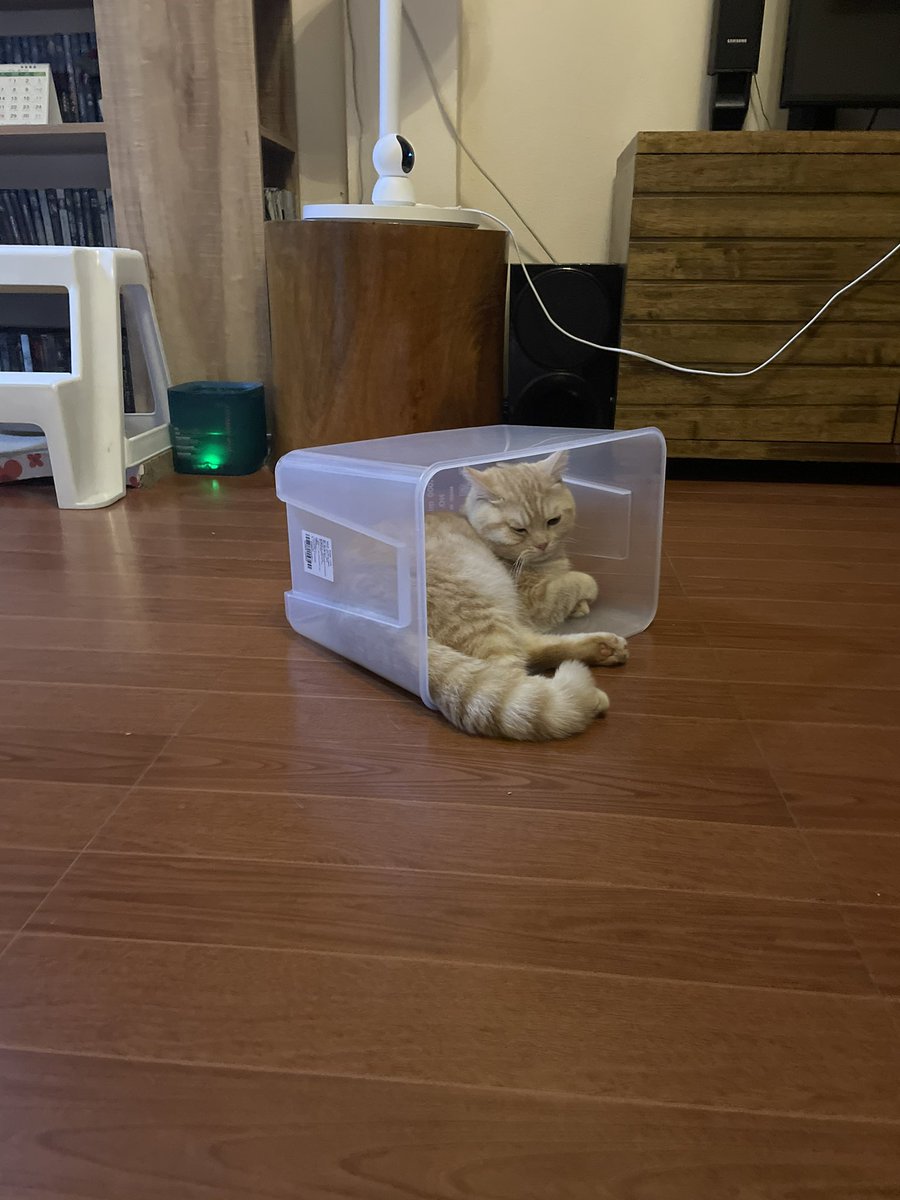 ขอบใจนะ ช่วยได้มากเลย