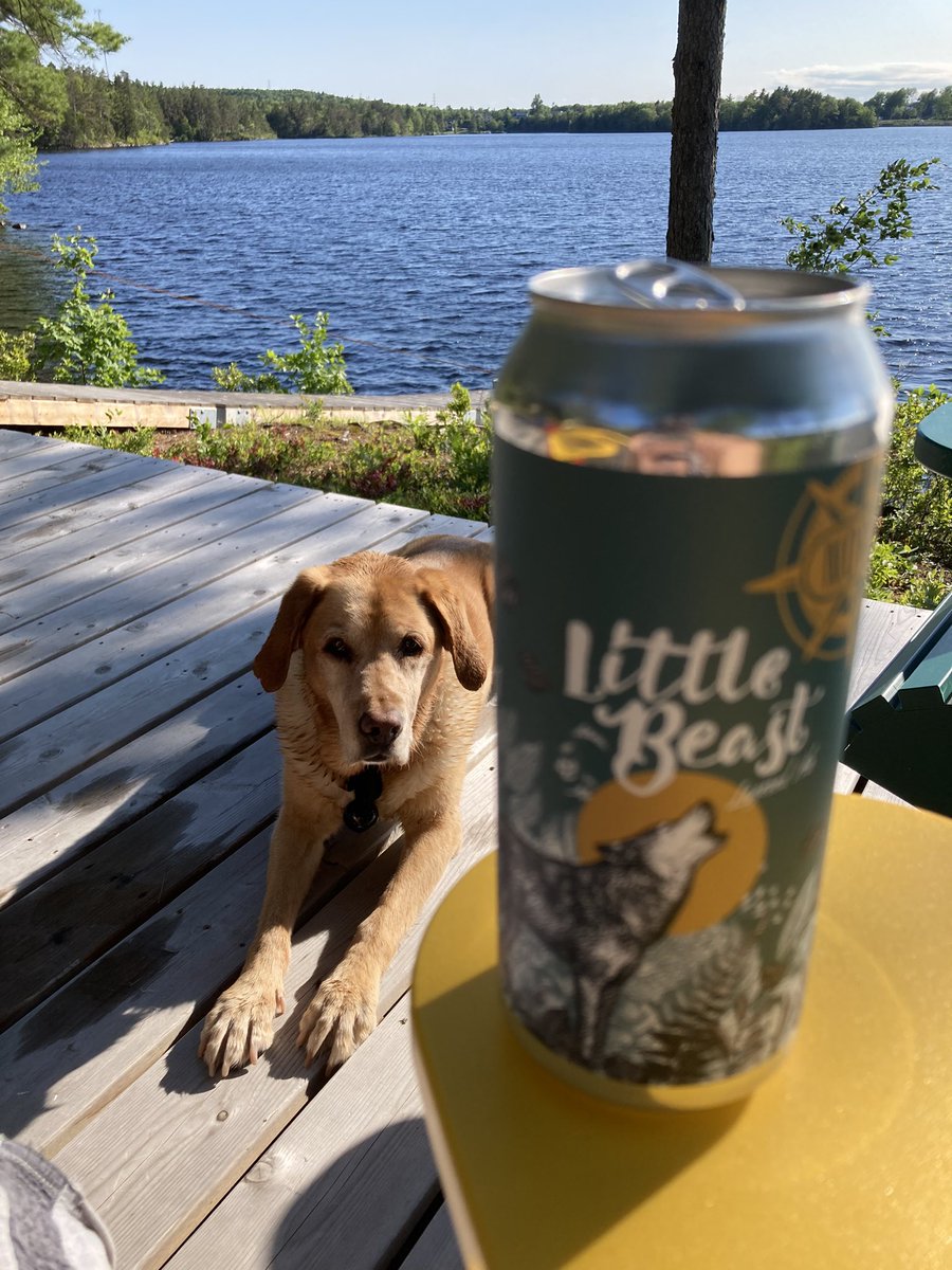 Have both of my little beasts on the deck this evening. Thanks <a href="/NorthBrewing/">North Brewing Co.</a>!