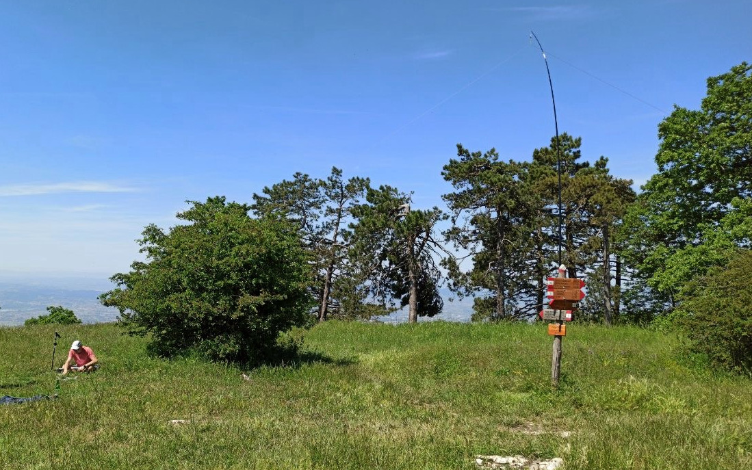 Alessio Caiazza tweet media