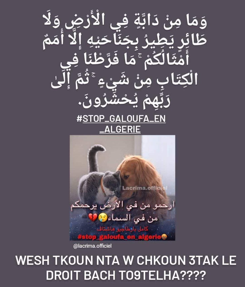 njq80's tweet photo. #stop_galoufa_en_algerie https://t.co/NyUTaGrPjA