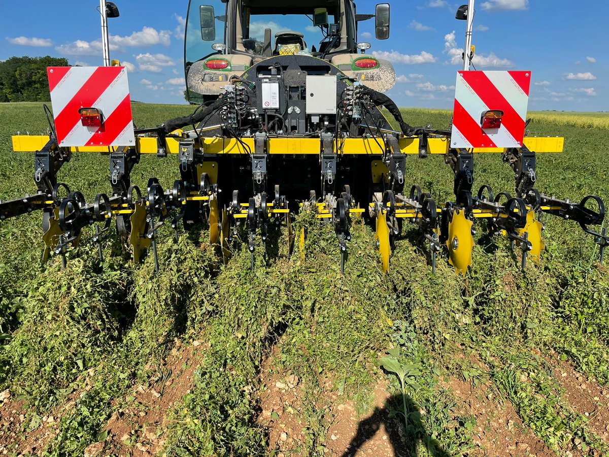 Un client m'appelle pour biner. 
En arrivant on lui dit on peut plus rien pour ton tournesol....
On a essayé qd même, on aime pas rester sur un échec, mais on s'est vite arraché de la...