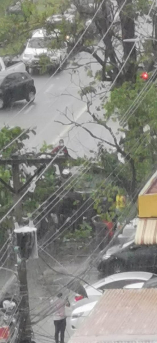 Cae árbol en la vía principal de Parque Lefevre. 
Se mantiene el tráfico afectado en ambas direcciones. <a href="/TraficoCPanama/">Tráfico Panamá</a> #TReporta