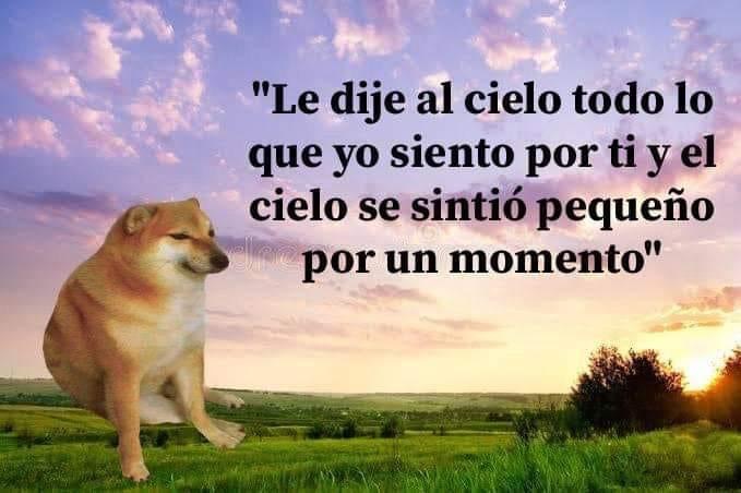 Guarromantico_'s tweet photo. https://t.co/HEydFJfxHq